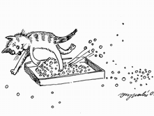 18 ���������� � �����