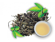 ����� ����� ���� 133