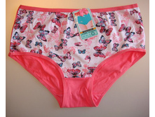 2006, ���� 46, 5 ���.