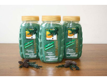 ����*������ ���*���� ����*����������� �����