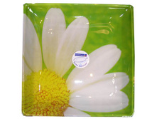 ������� ��������� PAQU***ER**ETTE 25,5��