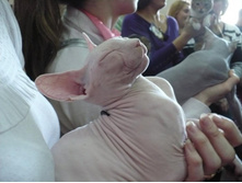 ���� ����������)))