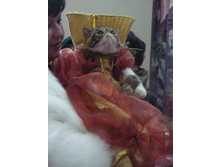 ���� ����������)