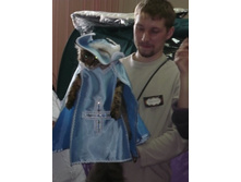 �����ԣ�