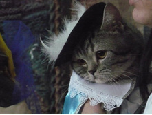 ������ �����ԣ�)