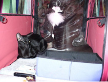 ��� ����