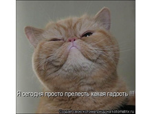 � ������ �������� ����� �������.jpg