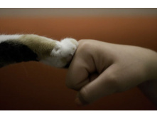 ��� ����.jpg