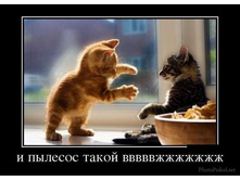 � ������� �����.jpg