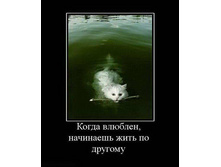 ����� ������� ��������� ���� ��-�������.jpg