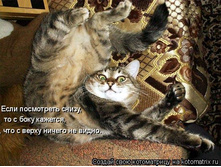 ��� ����������.jpg