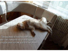 ���� ��� ����� ���� - �� ����.jpg