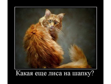 ���� �� �����.jpg