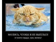 ������ ����� � �� �����.jpg