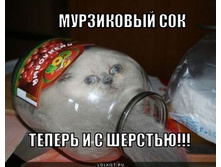 ���������� ���.jpg