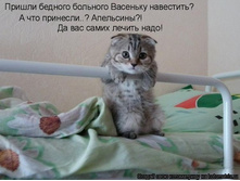 ��������� ��������.jpg