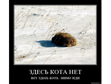 ��� ����� ����.jpg