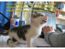 ������� �� ������.jpg