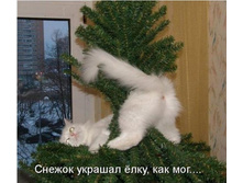 ������� ���� ��� ���.jpg