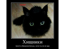 ������� ��������������.jpg