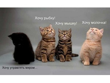 ���� �����.jpg