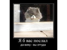 � � ��� ������.jpg