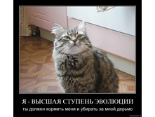 � ������ ������� ��������.jpg