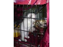 ����ԣ��� ����� �� ��� ����� �����������