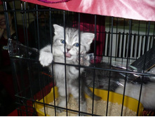 � �������� ������ ����� �� ������������)