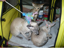 ����� ��������!