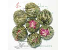 ��� �� ���  2366���