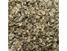  ��� ����� �� (���������� ���������� ����)   1653���