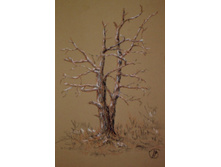 �������������� ������