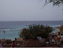 ������ �������