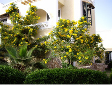 ���� ��������� ������:)