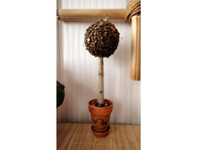 �������� �������