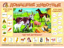 �������� ��������.jpg