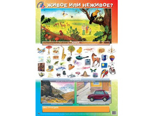 ����� �������.jpg