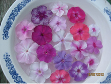 ��������� � ��������