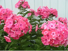 �����,��������� ��� �����,�� �� �����,�����-�� ����������� �� ��� ���������