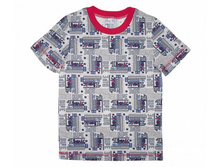 36*17 ���. ��. ���� ��������