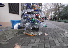 foto_kz 166.jpg