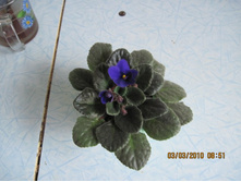 ����������� ������������