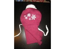 �*����� (��15)