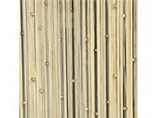 ���� ������ �������