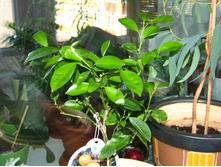 ���������� �� ��� �� ����������