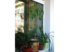 �������� ����� �������