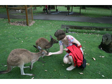 ������ 099.jpg