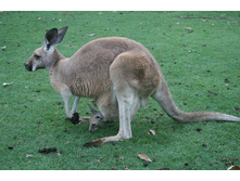 ������ 074.jpg