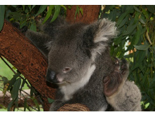 ������ 040.jpg